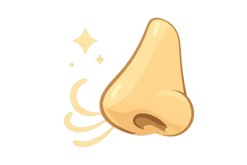 Geruchsneutralisation