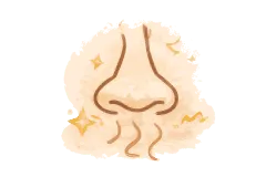 Helfen Sie auch bei starken Gerüchen oder Verunreinigungen?