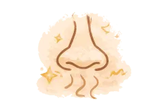 Was tun Sie gegen Gerüche?