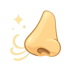 Geruchsneutralisation